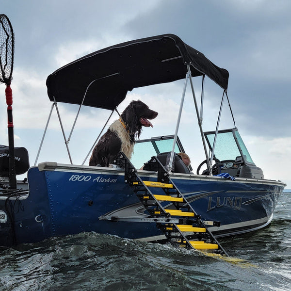 Fishing Boat Dog Ladder