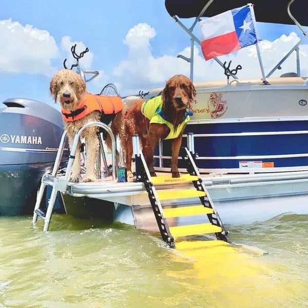 Paws aboard doggy boat fashion ladder