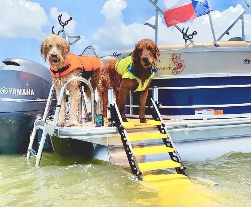 DOG SWIM LADDER VS. HUMAN SWIM LADDER