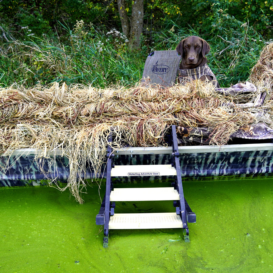 Hunting Boat Dog Ladder