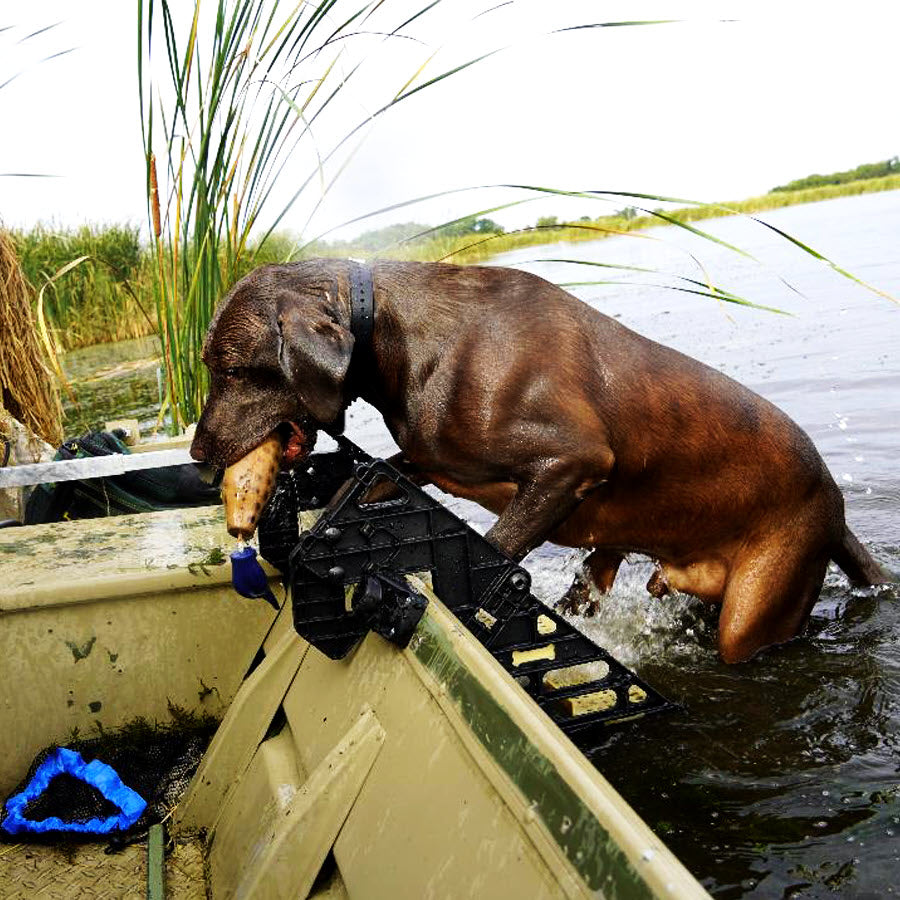 Hunting Boat Dog Ladder