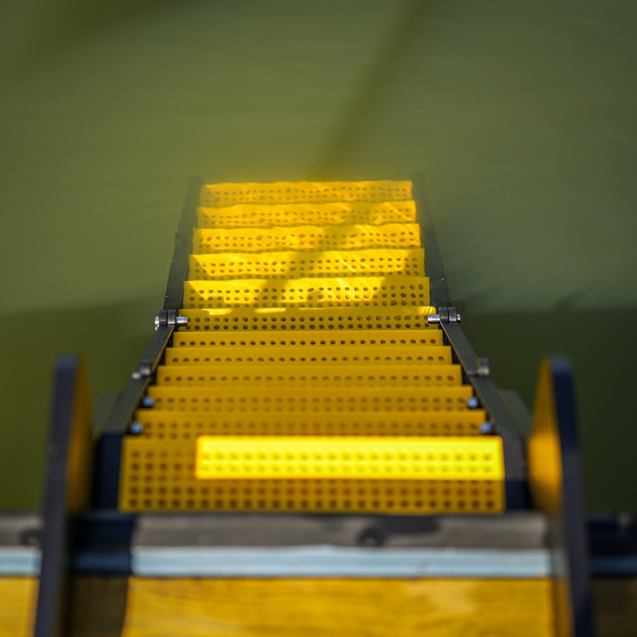 Dog Dock Ramp - Flip-Up Dog Ramp for Docks, Swim Platforms & Seawalls ...