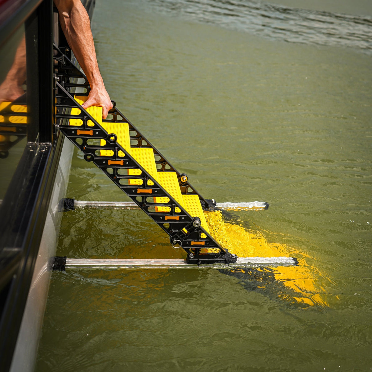 Pontoon Boat Dog Ladder