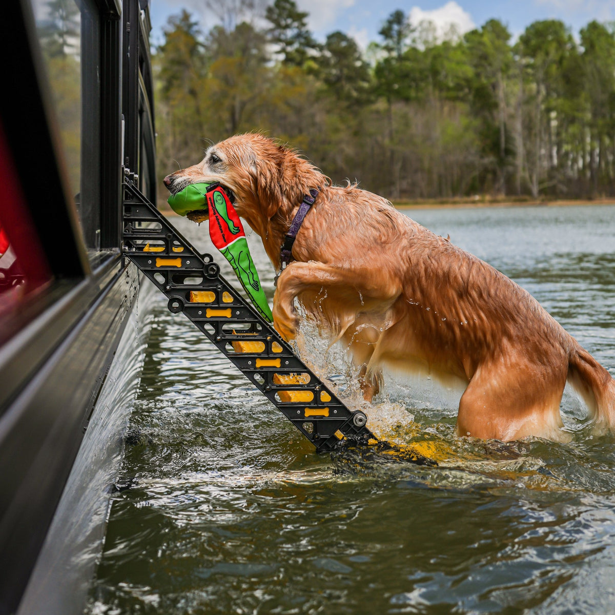 Pontoon Boat Dog Ladder
