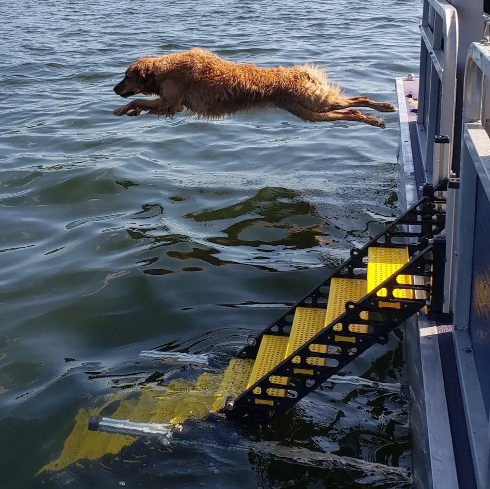 Dog Ramp For Pontoon Boats The Best Dog Ladder for Pontoons WaterDog Adventure Gear