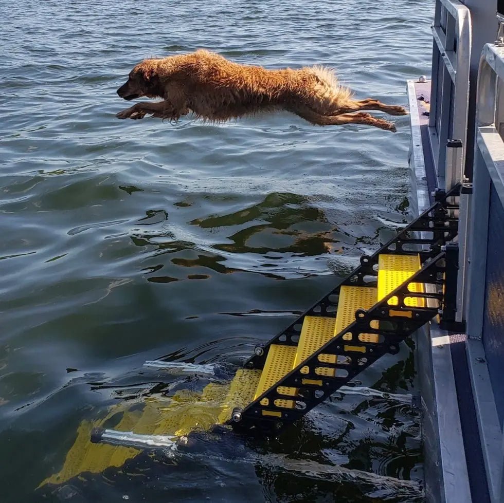 Boat pet ramp clearance