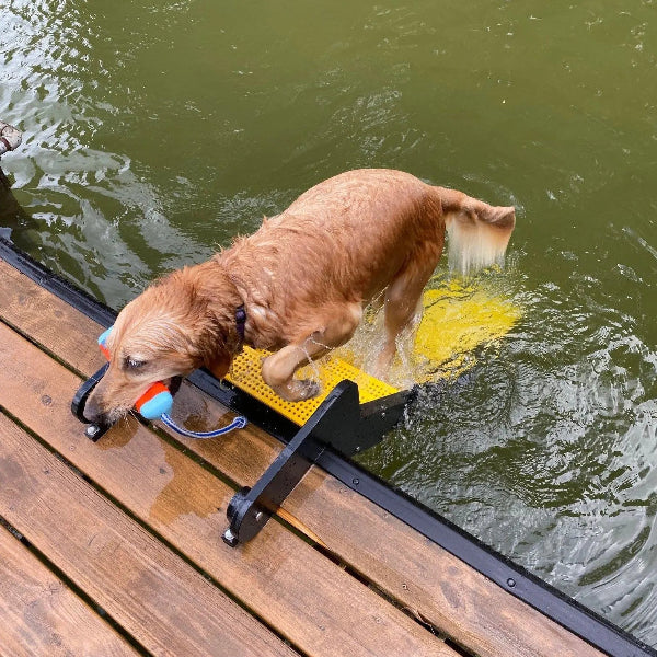 Dock Ramp Ladder for Dogs WaterDog Adventure Gear