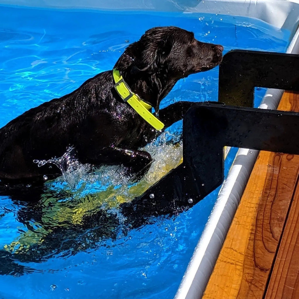 Dog steps for swimming pool hotsell