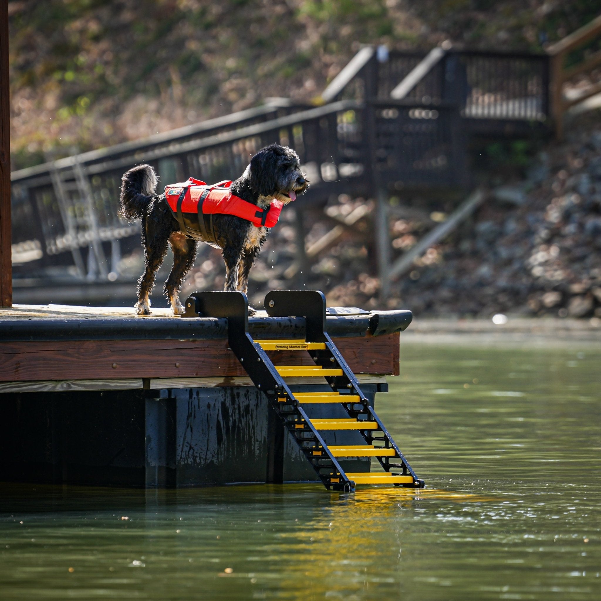 Dog Dock Ramp - Flip-Up Dog Ramp for Docks, Swim Platforms & Seawalls ...