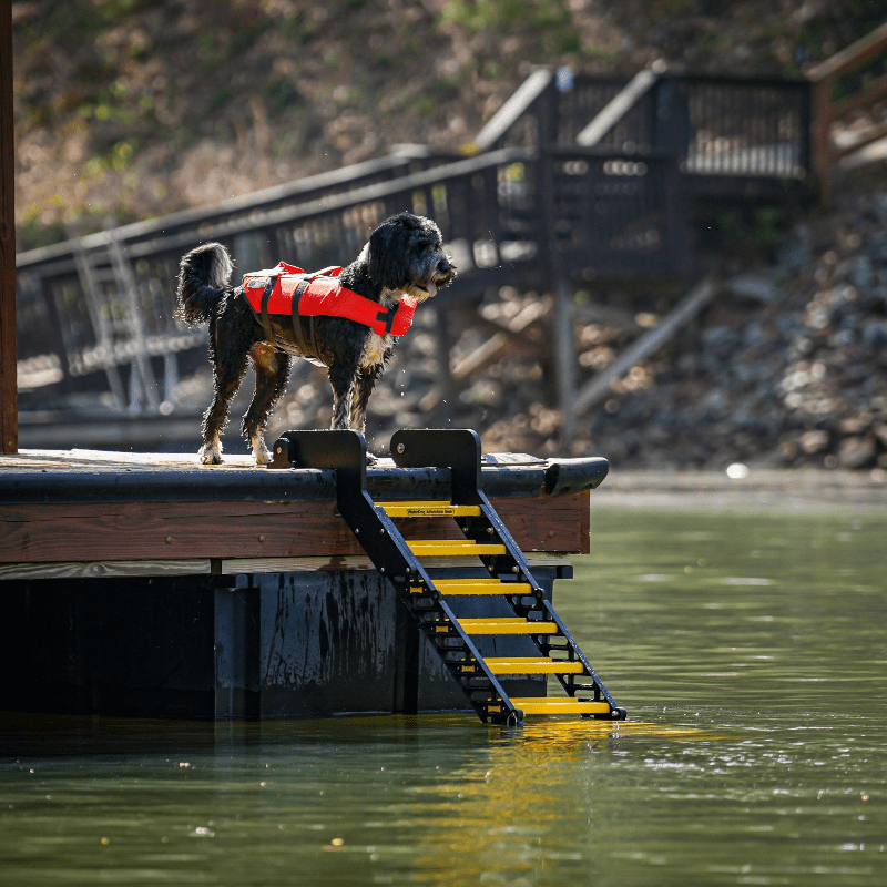 Pet Stairs Extra Wide Boat Ramp Pool Ladder, Floating Pet Water