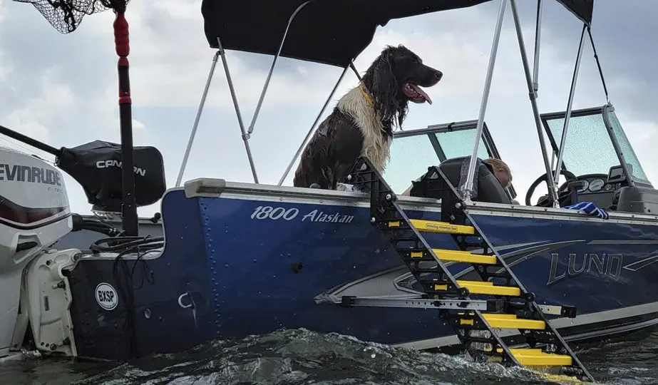 Shop Dog Fishing Boat Ramp - WaterDog Adventure Gear