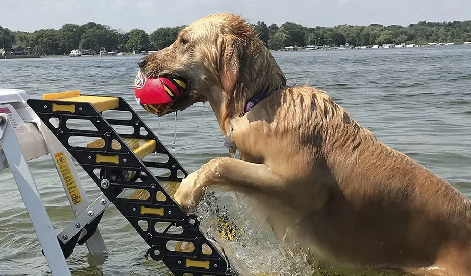 Dog Ladders for Fishing Boats